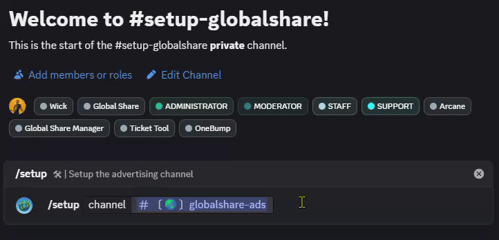 Setup command demonstration